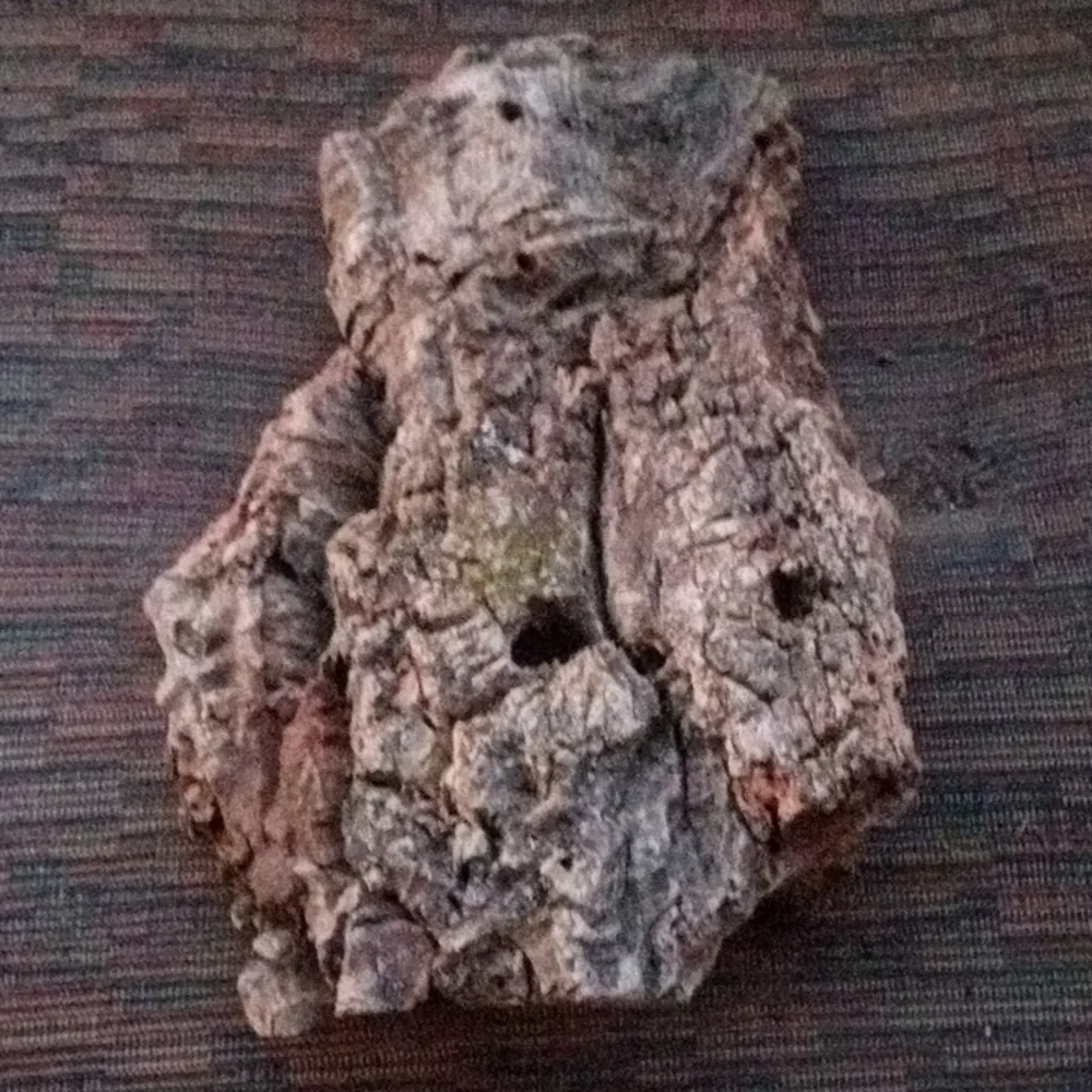 New! MOTHER NATURE Natural Cork Bark Terrarium Decor.